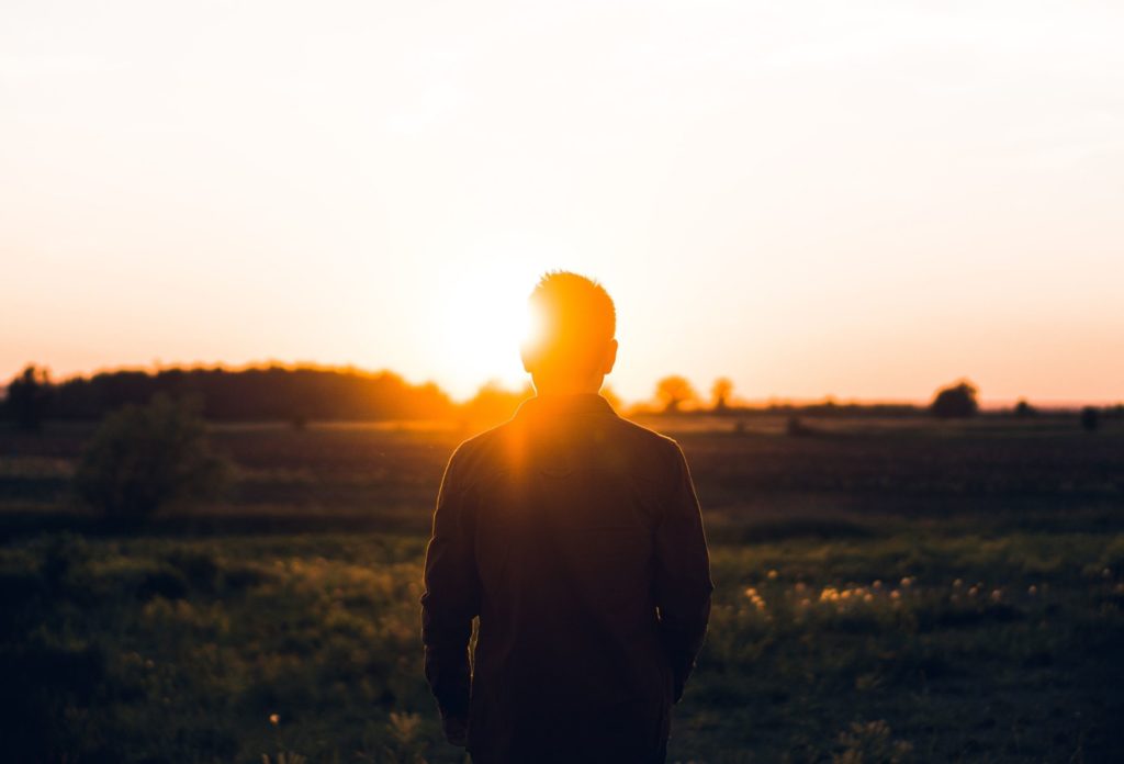 Psalm 19: Creation Testifies