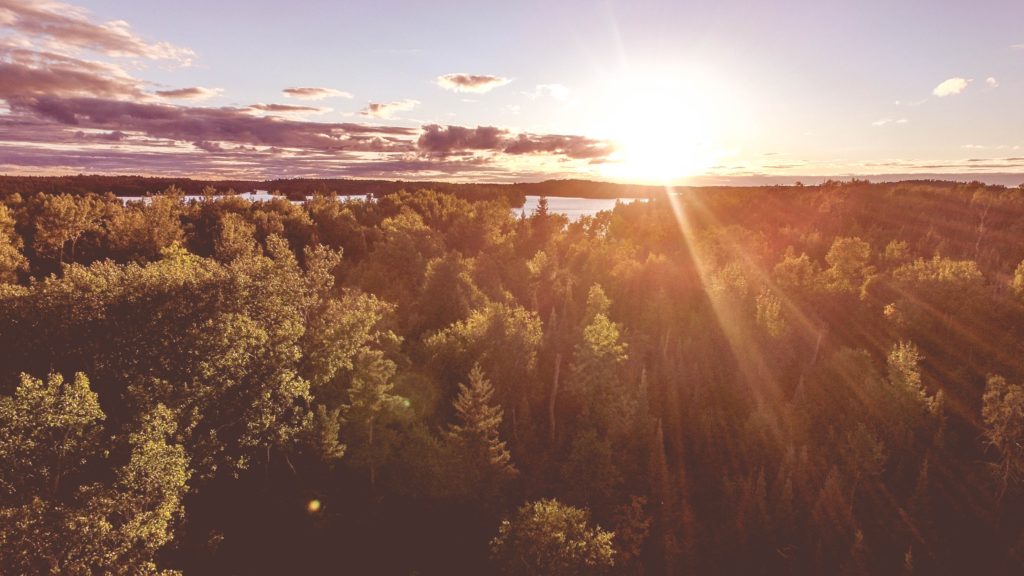 Psalm 103: A God with Benefits